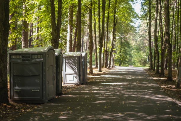 Portable Toilet Options We Offer in White Center, WA